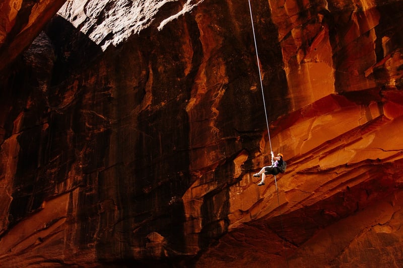 Ziplining Adventure
